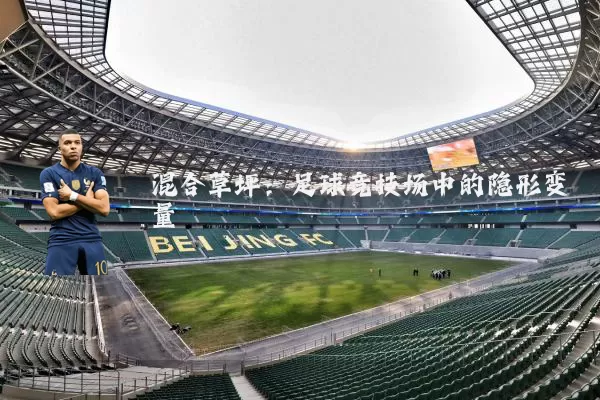 混合草坪：足球竞技场中的隐形变量